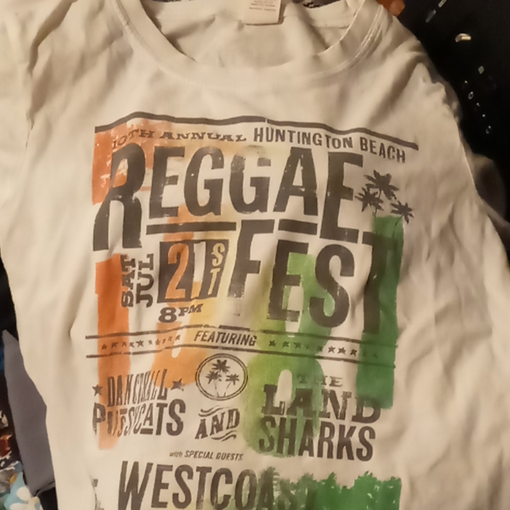 Hollister Graphic Tee- sz Large